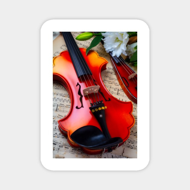 Baroque Viola With Pocket Violin And Lilies Magnet by photogarry