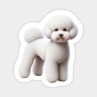 Bichon Frise Magnet