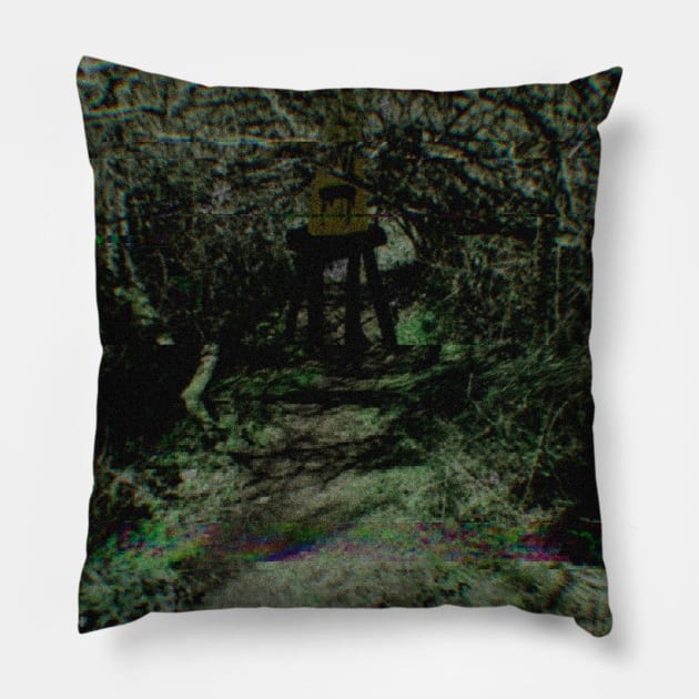 In The Woods Pillow by revjosh
