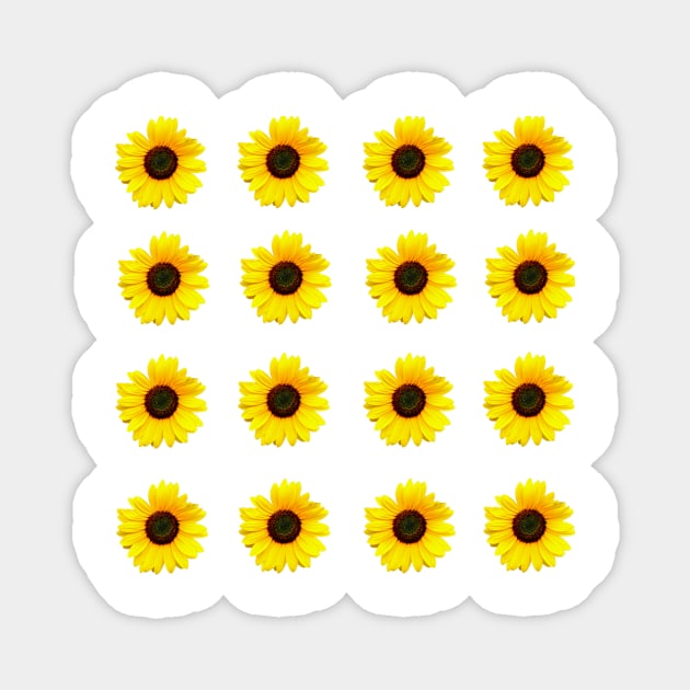 Copie de Two sunflowers Magnet by ghjura