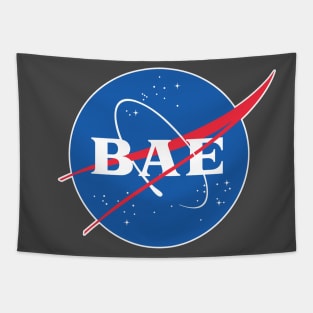 BAE - Nasa Parody Logo Design Tapestry