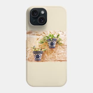 Wall Hanging Planters Phone Case