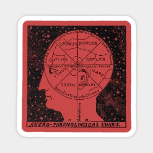 Phrenology Magnet