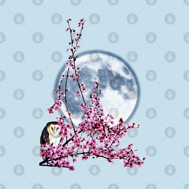 Owl in Plum Tree by kimberlyjtphotoart