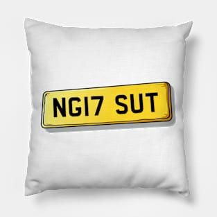 NG17 SUT Sutton-in-Ashfield Pillow