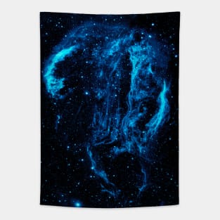 Cygnus Loop Nebula Tapestry