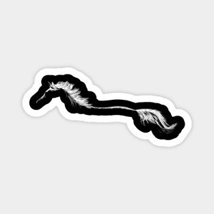 Horse Magnet