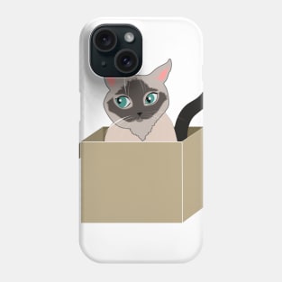 Cat in the box Phone Case