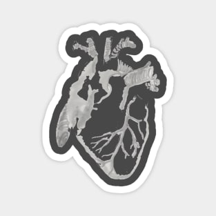 Anatomical grayscale heart Magnet