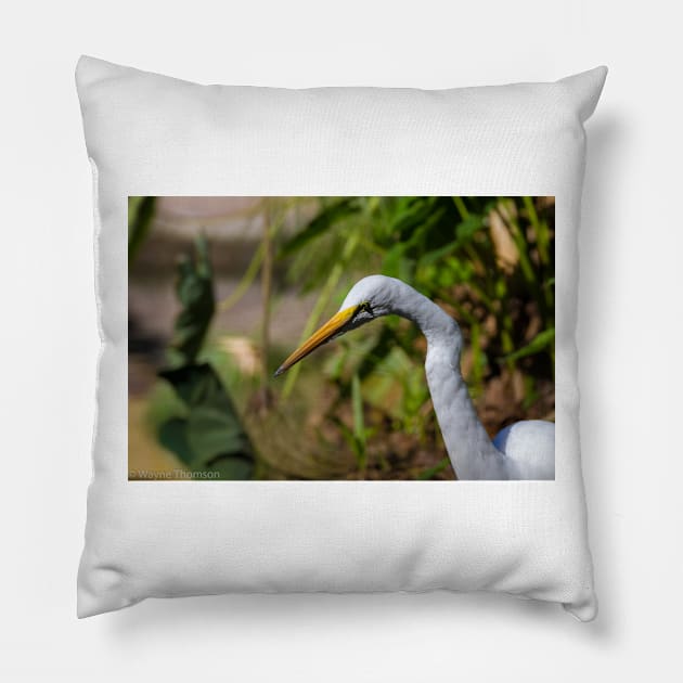 Egret Pillow by redneckpoet