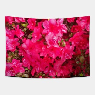 Bright Pink Flowers - Vectorized Photographic Image Tapestry