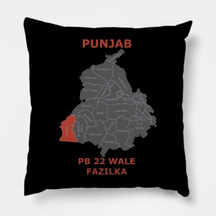 PB 22 Wale Fazilka Pillow