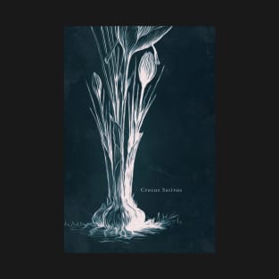 Cyanotype - Crocus Sativus - C T-Shirt