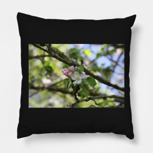 Apple Blossom Pillow