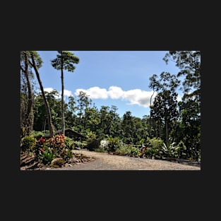 Australie - Cairns, Kuranda T-Shirt