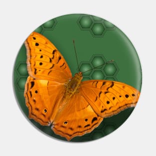 Beautiful orange butterfly on green pattern background Pin