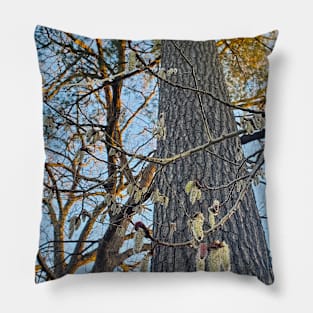 Dangling Seeds Pillow