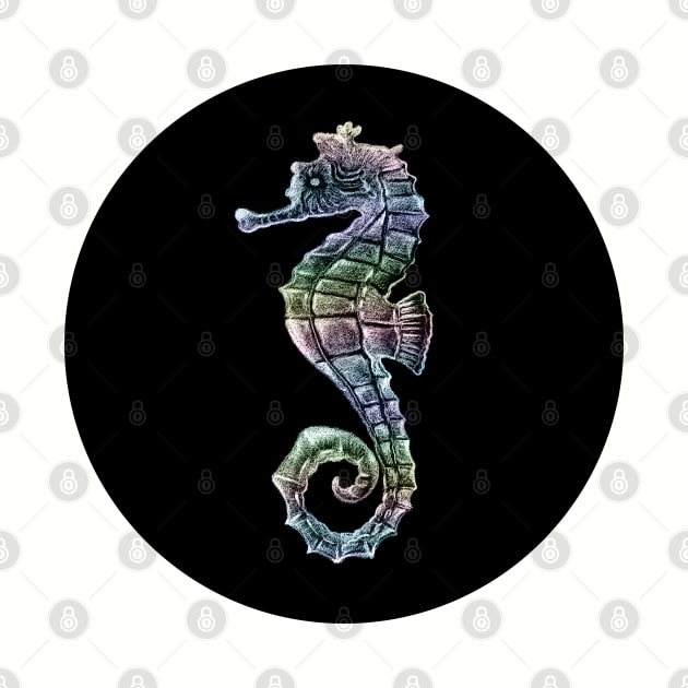 Pastel Seahorse on Black by Neginmf