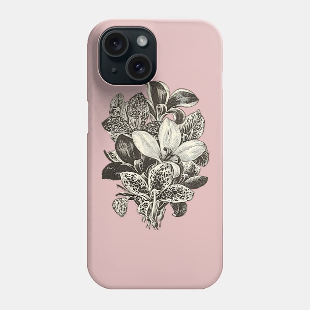 Beautiful Lily Phone Case by DrDesign