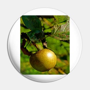 hanging apple Pin