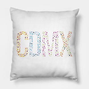 CDMX colors Pillow