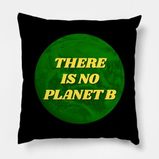 There Is No Planet B Pillow
