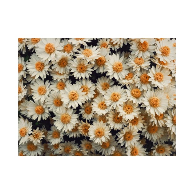 daisies pattern by psychoshadow