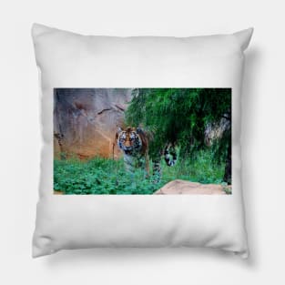 Siberian Tiger Pillow