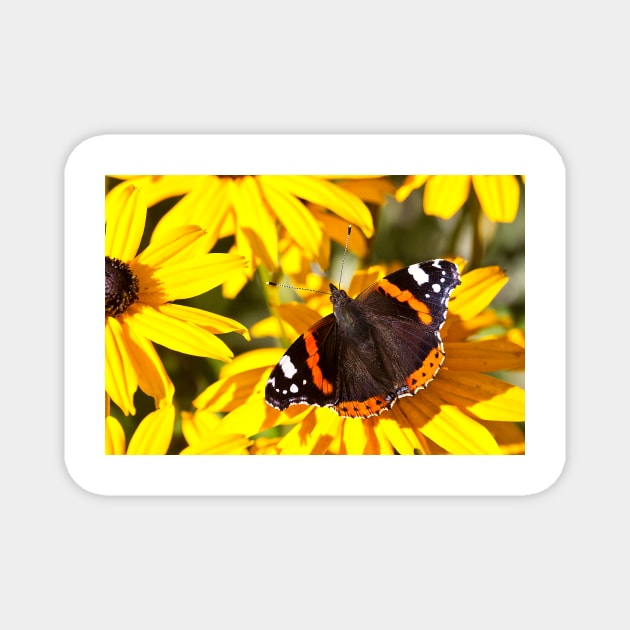 Red Admiral;Yellow Flower Magnet by Violaman