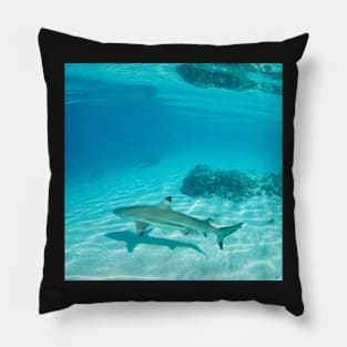 Tahiti Reef Shark & Coral Pillow