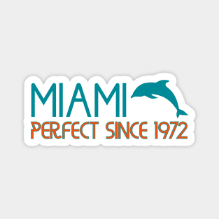 Miami Dolphins Magnet