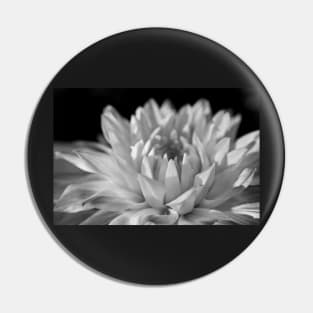 Dahlia Pin