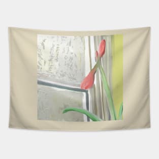 Budding Amaryllis By Winter Window Tapestry