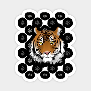 Tiger Magnet