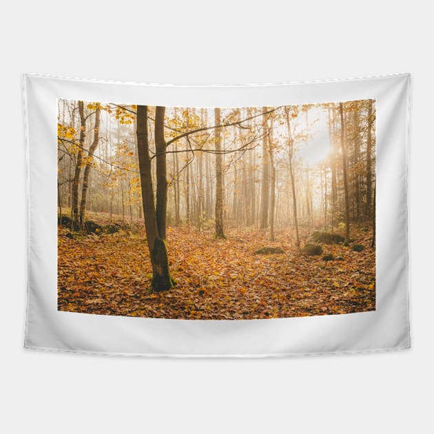 Foggy morning autumn forest Tapestry by Juhku