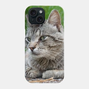 An elderly homeless cat Phone Case