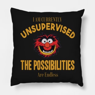 I am currently unsupervised I know it freaks me out too but possibilities are endless Pillow
