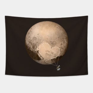 Love the Pluto Tapestry