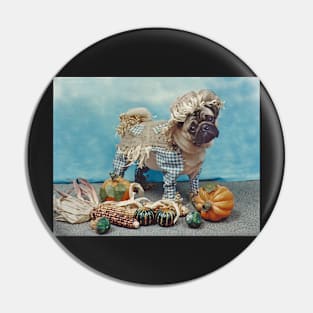 Pug Dog Scarecrow Pin