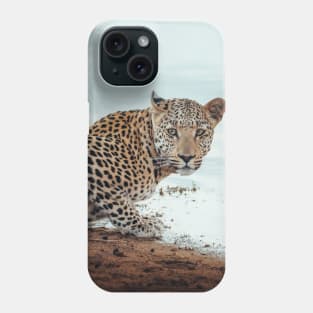 Staring Leopard Phone Case