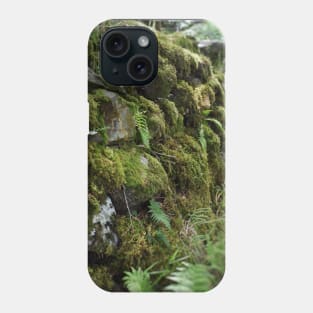 Irish Forest Phone Case