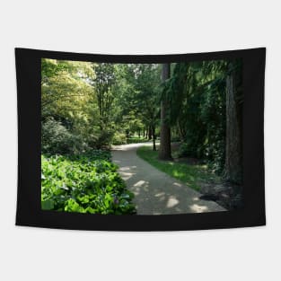 Garden path looks beautiful in sunlight Tapestry