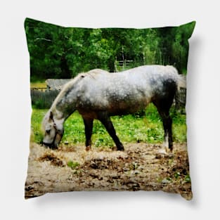 Horses - Appaloosa Eating Hay Pillow