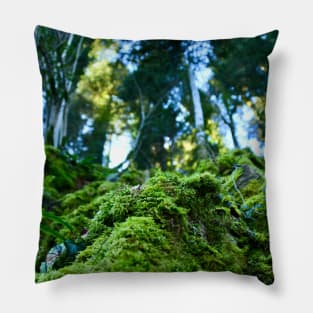 Jungle Switzerland Jura / Swiss Artwork Photography Pillow