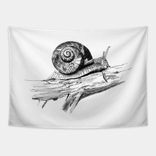 Garden Snail Ink Drawing Tapestry