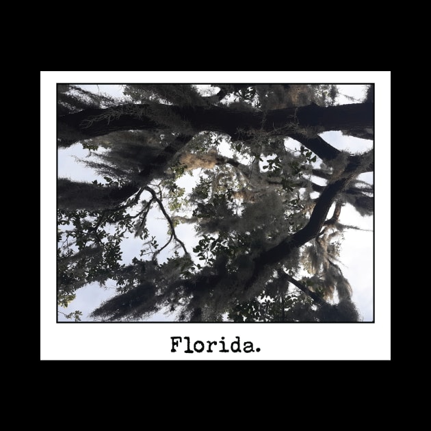 Florida at a Glance by Underdog Designs