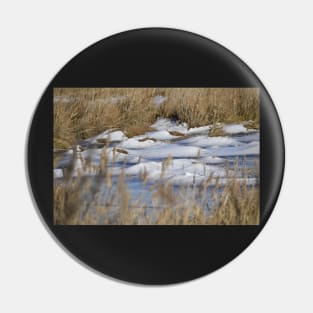 Frozen Pond Pin