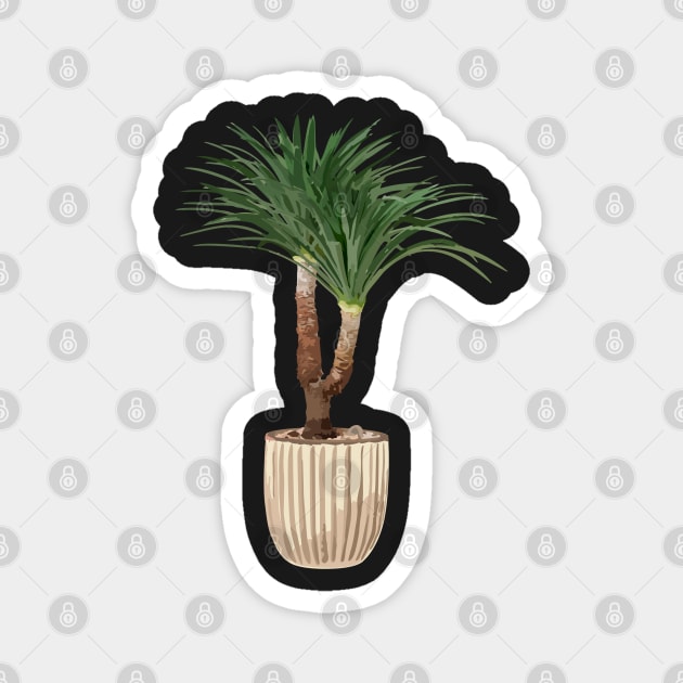 Dracaena plant Magnet by gronly