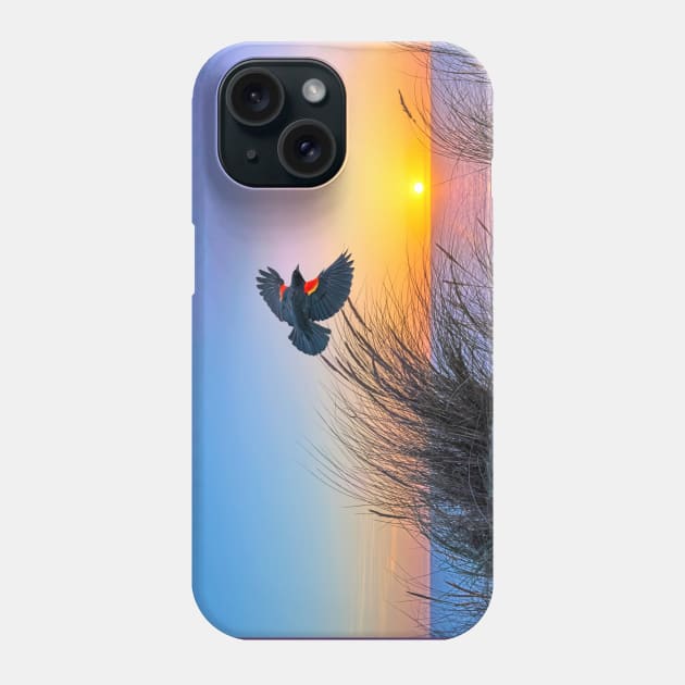 Red Winged Blackbird at Sunset Phone Case by lauradyoung