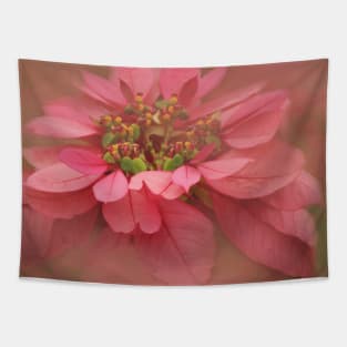 Rose Blush Poinsettias Digital Art Tapestry